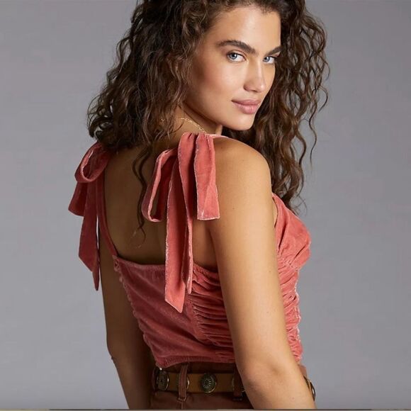 Anthropologie Corset-Seamed Velvet Top Size L - Picture 3 of 11